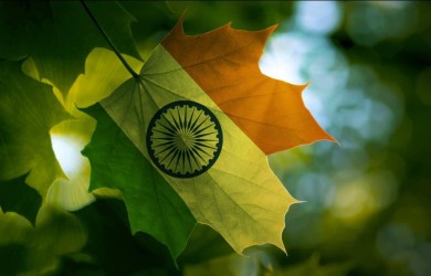 Canada-India leaf