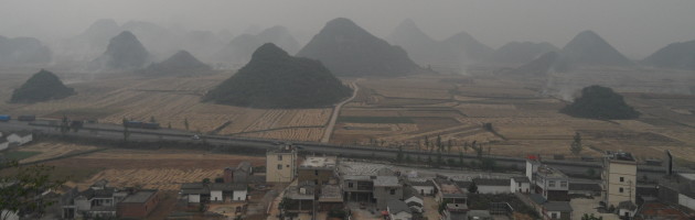 Luoping Canola Fields