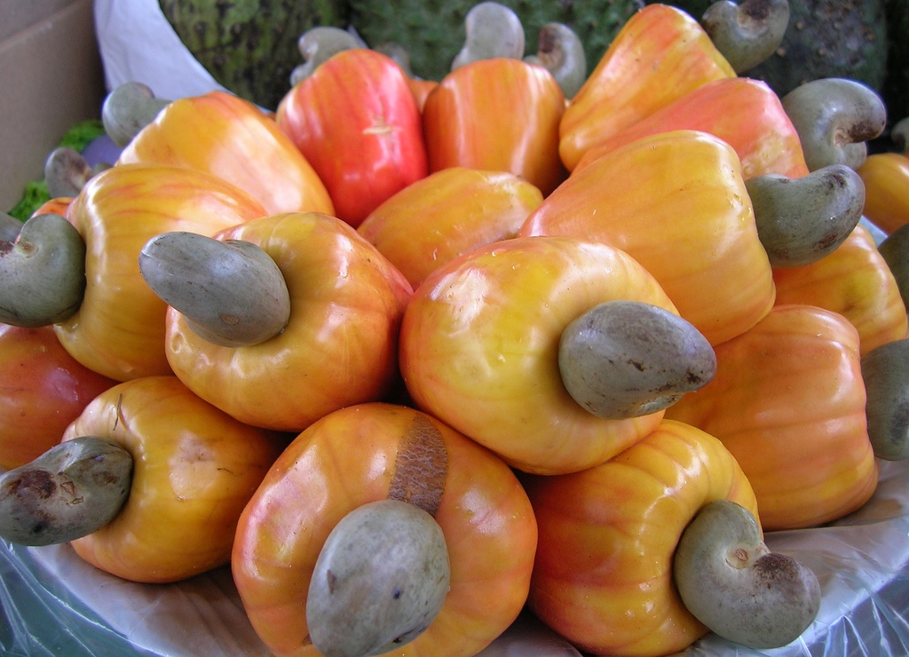 Frutas brasileiras Esperanza Education