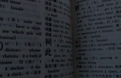 Chinese Dictionary Page