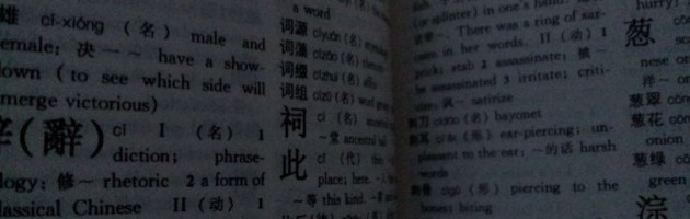 Chinese Dictionary Page