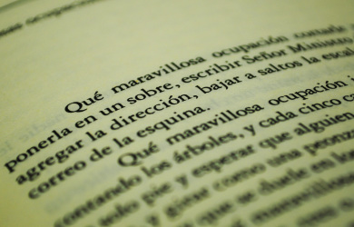 Maravillosas Ocupaciones by Cortazar