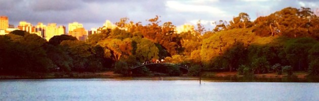Parque do Ibirapuera na cidade de São Paulo / Brasil