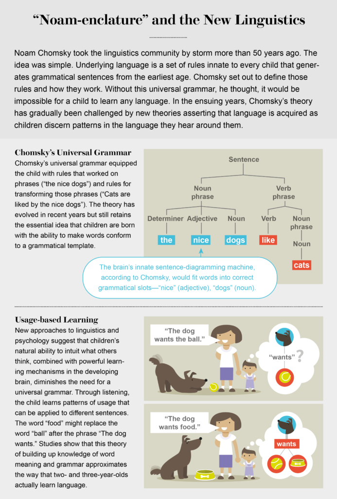 Usage Based Language Learning | Esperanza Education